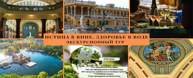 Истина в вине,  здоровье в воде – In vino veritas, in aqua sanitas!