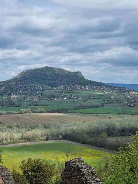 Дегустация вин  в долине Балатонских холмов- групповая экскурсия из Хевиза  - 4