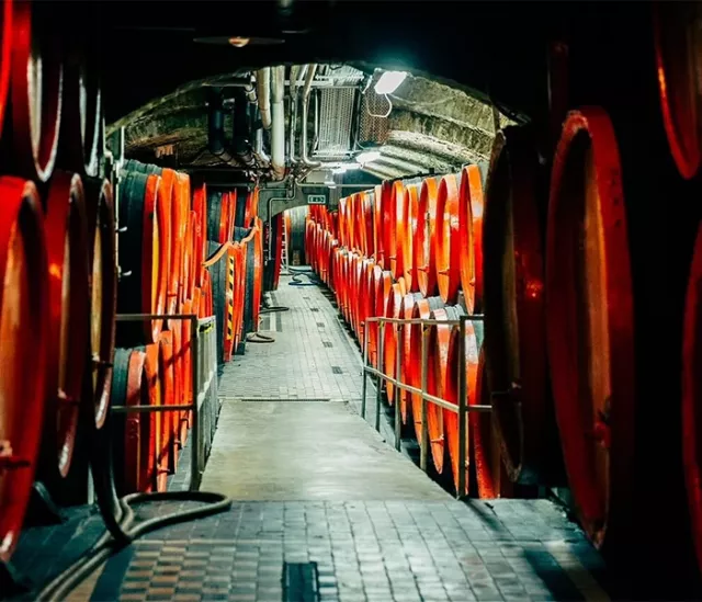 Капля успеха - экскурсия по следам семьи Zwack - 5