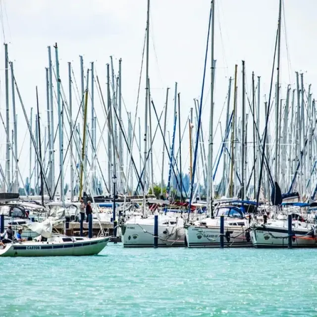 Из Хевиза в Тихань и Балатонфюред- групповая экскурсия  - 6