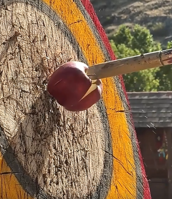 From Hévíz to the Sümeg Castle, with a knight tournament and dinner - 3