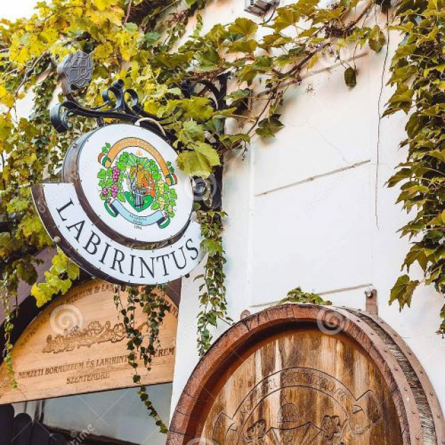 Szentendre with wine tasting - 5