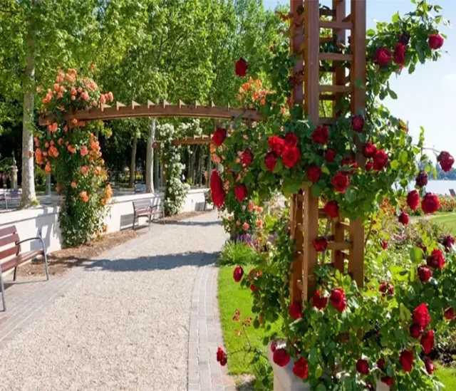 Из Хевиза в Тихань и Балатонфюред- групповая экскурсия  - 5