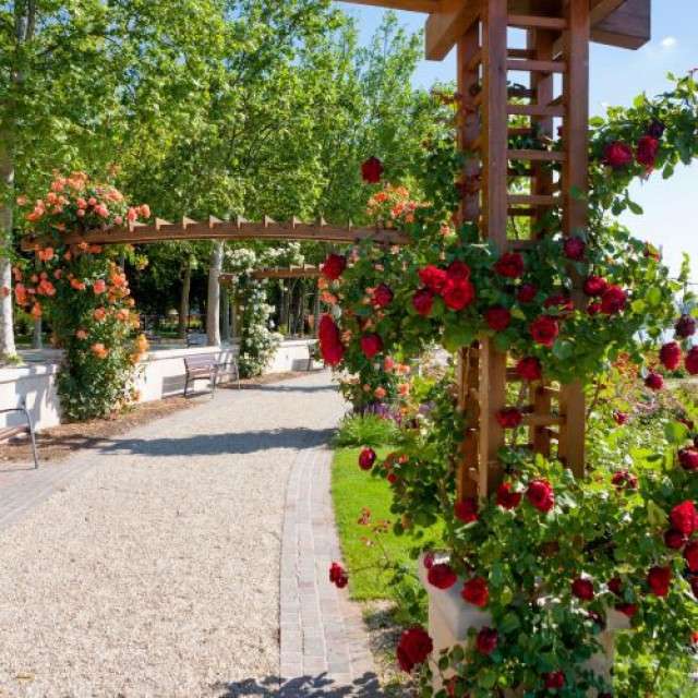 Индивидуальная экскурсия на Балатон и Хевиз: Тихань, Балатонфюред, Хевиз - 7