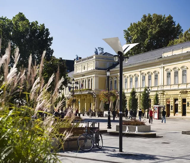 Excursion to Nyíregyháza with zoo visiting - 7