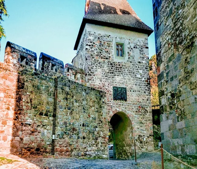 Danube Bend with lunch and knight tournament - 7