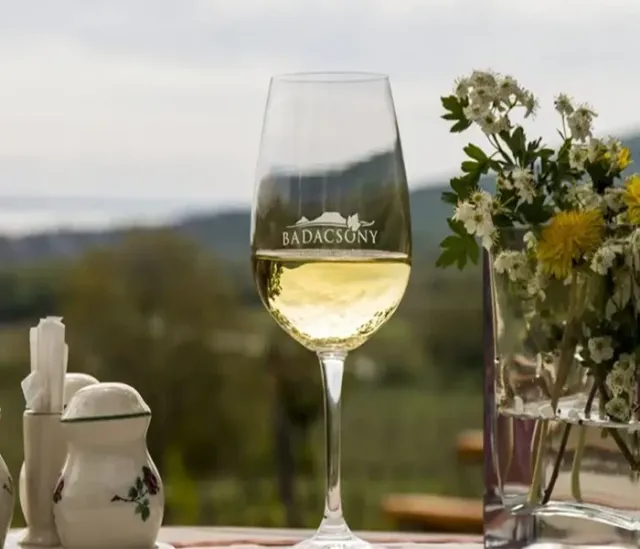 Дегустация вин  в долине Балатонских холмов- групповая экскурсия из Хевиза  - 5