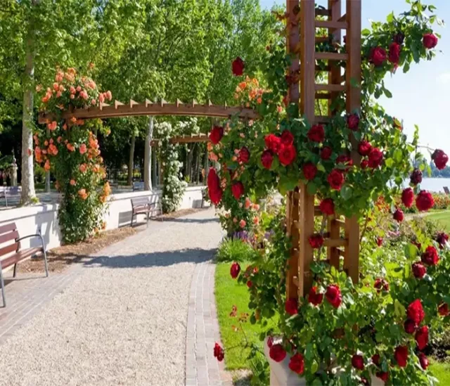 Excursion to Lake Balaton (Balatonfüred-Tihany) - 7