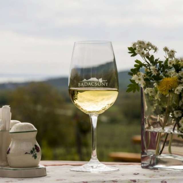 Индивидуальная экскурсия на Балатон - Балатонфюред и полуостров Тихань - 8