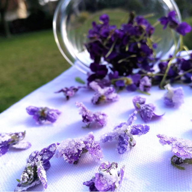 Grassalkovich Castle, in the footsteps of Empress Sissi - 6