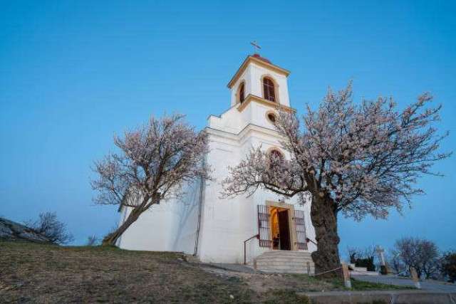 Private Tour to Pecs and Villany - 2