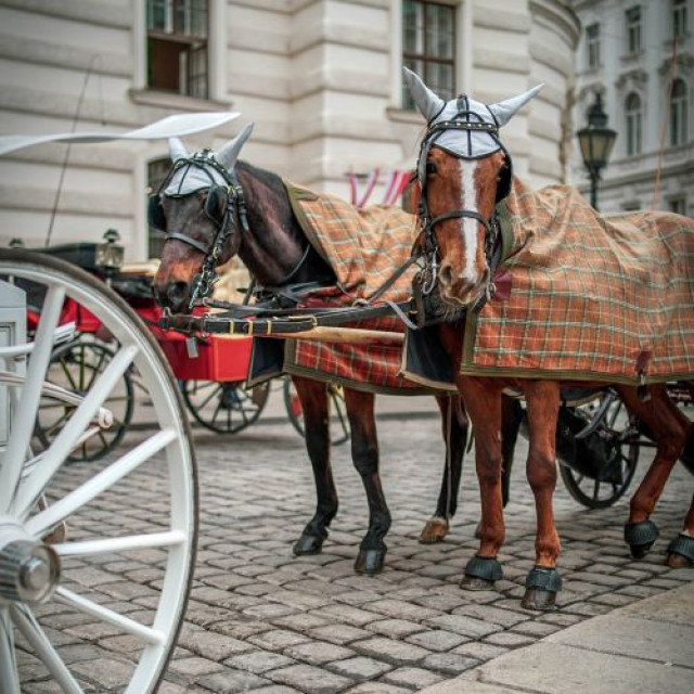 Legends of Old Vienna Walking Tour - 4