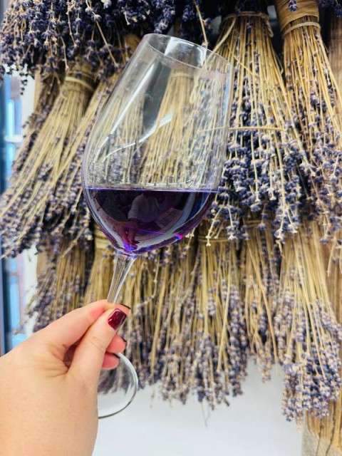 Из Хевиза в Тихань и Балатонфюред- групповая экскурсия  - 4