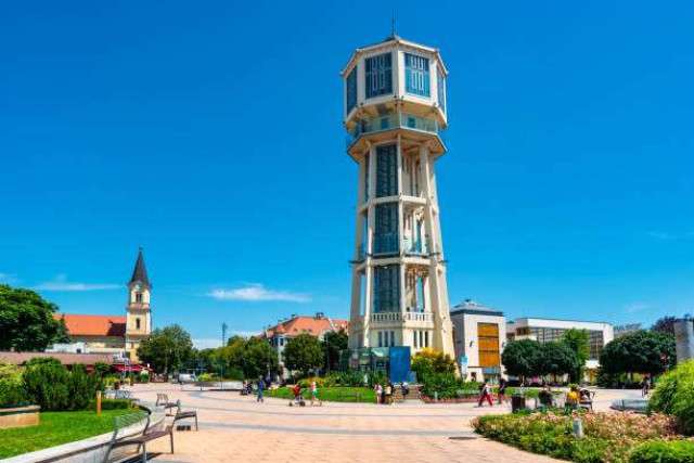 Из Хевиза - Секешфехервар (замок Боривар) и Шиофок (музей Имре Калмана) - 6