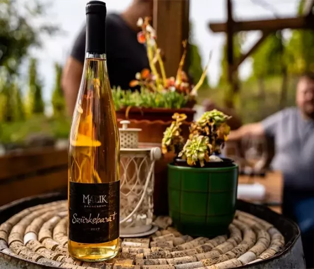 Excursion to Lake Balaton (Balatonfüred-Tihany) - 4