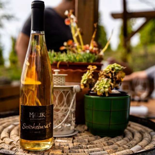 Индивидуальная экскурсия на Балатон - Балатонфюред и полуостров Тихань - 7