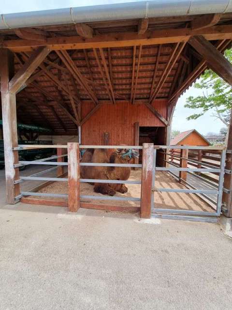 From Heviz to the Radpusta farm - horse show, tasting of Hungarian wines - group excursion - 7