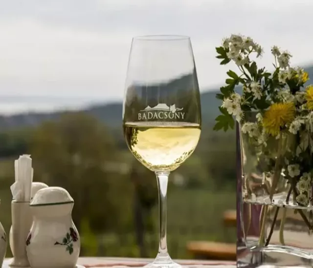 Excursion to Lake Balaton (Balatonfüred-Tihany) - 6