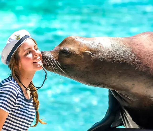 Excursion to Nyíregyháza with zoo visiting - 2