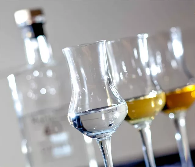 Master class "Parad of Chefs" - 5