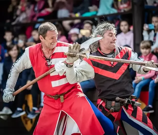 Тимбилдинг: Рыцарский турнир - 1