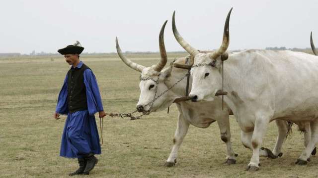 Hajdúszoboszló Resort: relaxation and healing in the Spas - 6