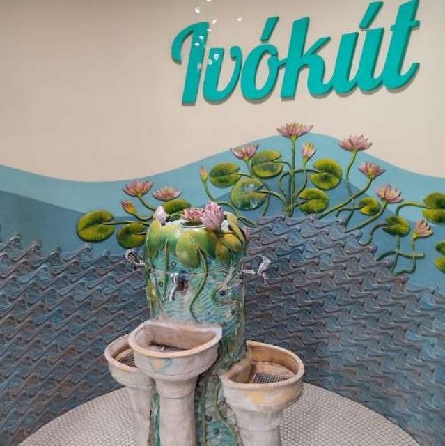 Tour Budapest and Heviz - 10