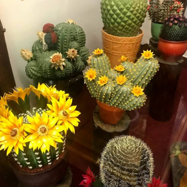 «Попробуй Венгрию на вкус!» - Тур  для гедонистов и любителей новых впечатлений - 13