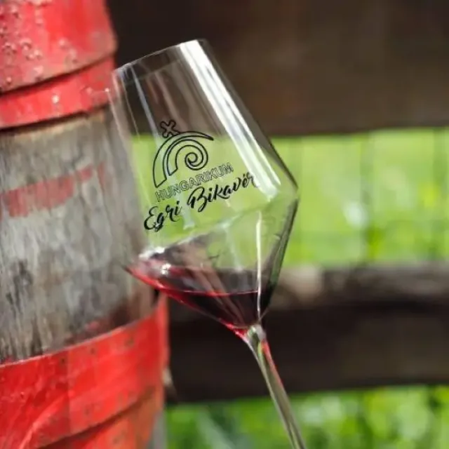  Истина в вине,  здоровье в воде – In vino veritas, in aqua sanitas! - 7