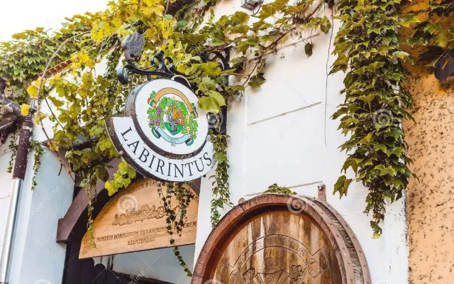  Истина в вине,  здоровье в воде – In vino veritas, in aqua sanitas! - 5